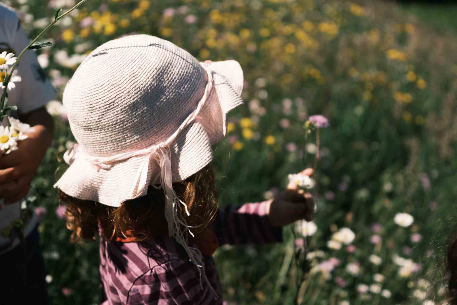 Kind mit Sonnenhut pflückt Blumen auf der Wiese