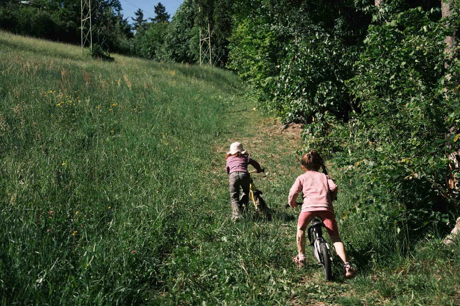 Zwei Kinder schieben ihre Laufräder einen Wiesenhang hinauf