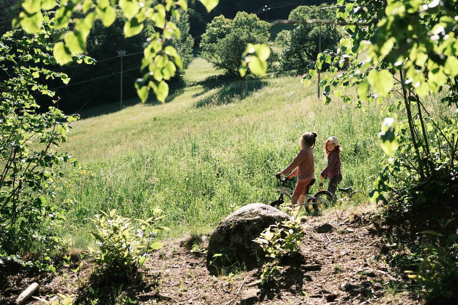 Zwei Kinder mit Laufrädern auf der sonnigen Wiese am Waldrand