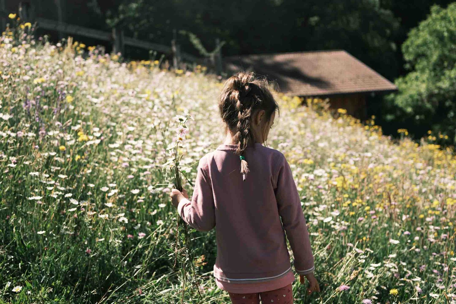 Mädchen geht durch eine blühende Sommerwiese